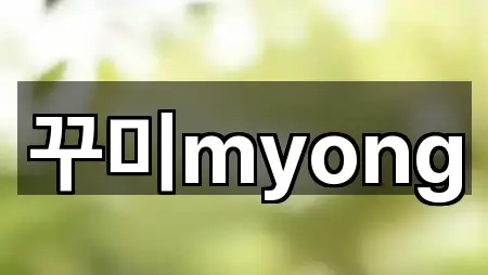 꾸미myong