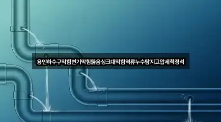용인하수구막힘변기막힘뚫음싱크대막힘역류누수탐지고압세척정석