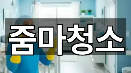 줌마청소