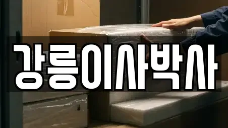 강릉이사박사