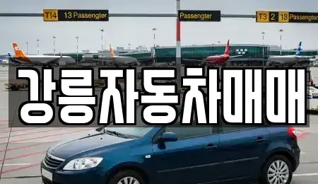 강원 강릉시 구정면 중고차매매 전문 강릉자동차매매