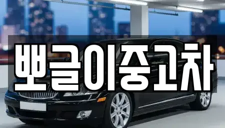 강원 동해시 심곡동 중고차매매 전문 뽀글이중고차