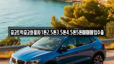 강원 동해시 심곡동 중고차매매 전문 중고트럭중고화물차1톤2.5톤3.5톤4.5톤5톤매매매입수출