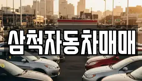 강원 삼척시 성내동 중고차 전문 삼척자동차매매
