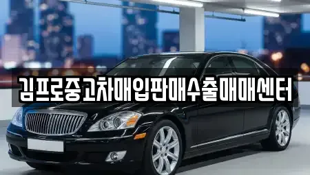강원 삼척시 성내동 중고차매입 전문 김프로중고차매입판매수출매매센터