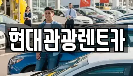 강원 속초시 노학동 렌트카 전문 현대관광렌트카