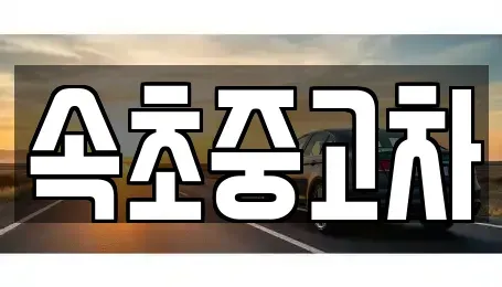 강원 속초시 노학동 중고차매매 전문 속초중고차