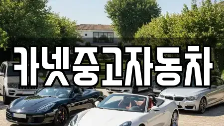 강원 속초시 노학동 중고차매매 전문 카넷중고자동차