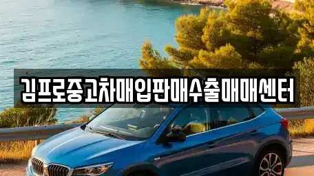 강원 속초시 노학동 중고차매입 전문 김프로중고차매입판매수출매매센터