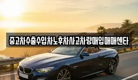 강원 속초시 노학동 중고차매입 전문 중고차수출수입차노후차사고차량매입매매센타