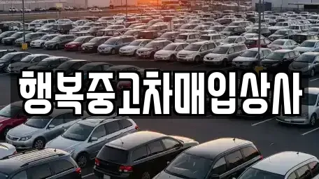 강원 속초시 노학동 중고차매입 전문 행복중고차매입상사