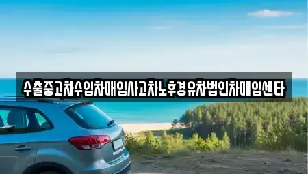 강원 속초시 동명동 중고차 전문 수출중고차수입차매입사고차노후경유차법인차매입센타