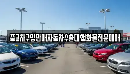 강원 속초시 동명동 중고차 전문 중고차구입판매자동차수출대행화물전문매매