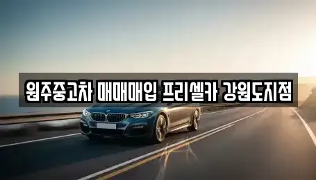 강원 원주시 무실동 중고차매입 전문 원주중고차 매매매입 프리셀카 강원도지점