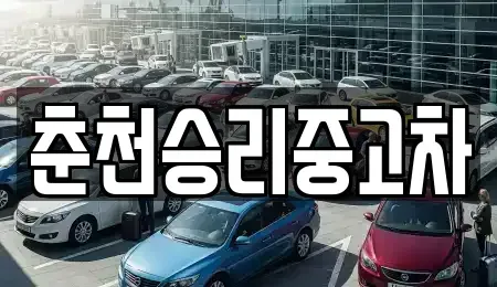 강원 춘천시 남산면 중고차매매 전문 춘천승리중고차