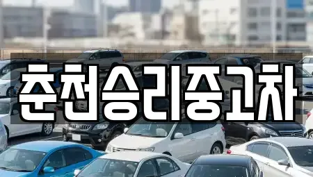 강원 춘천시 중고차 전문 춘천승리중고차