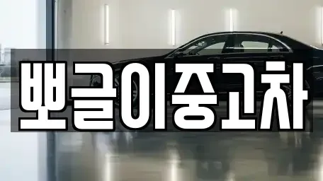 강원 태백시 장성동 중고차 전문 뽀글이중고차