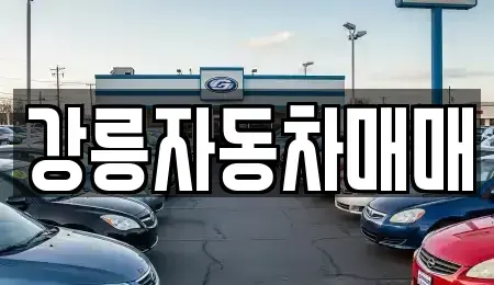 강원특별자치도 강릉시 노암동 중고차 전문 강릉자동차매매