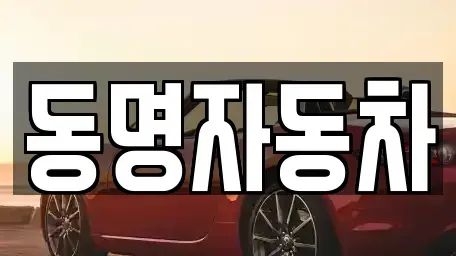 강원특별자치도 강릉시 노암동 중고차 전문 동명자동차