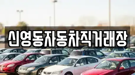 강원특별자치도 강릉시 노암동 중고차 전문 신영동자동차직거래장