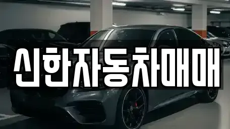 강원특별자치도 강릉시 노암동 중고차 전문 신한자동차매매