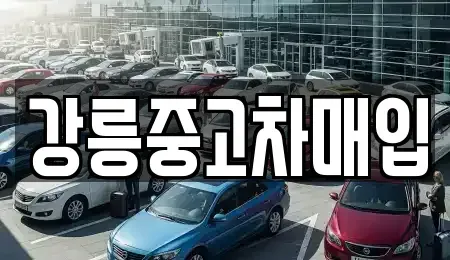 강원특별자치도 강릉시 노암동 중고차매입 전문 강릉중고차매입