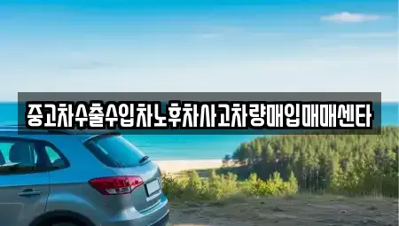 강원특별자치도 강릉시 노암동 중고차매입 전문 중고차수출수입차노후차사고차량매입매매센타