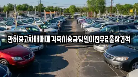 강원특별자치도 강릉시 옥천동 중고차 전문 관허중고차매매매각즉시송금당일이전무료출장견적