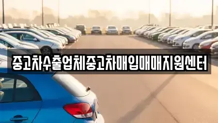 강원특별자치도 강릉시 옥천동 중고차매입 전문 중고차수출업체중고차매입매매지원센터