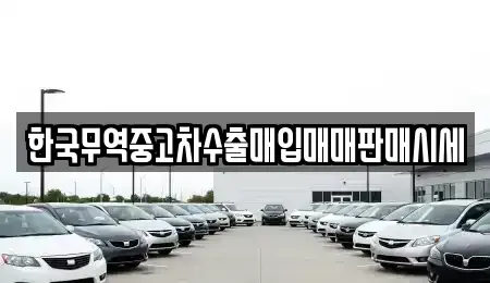 강원특별자치도 강릉시 옥천동 중고차매입 전문 한국무역중고차수출매입매매판매시세