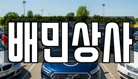 강원특별자치도 강릉시 월호평동 중고차 전문 배민상사