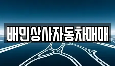 강원특별자치도 강릉시 월호평동 중고차 전문 배민상사자동차매매