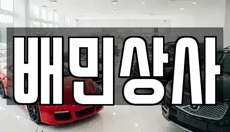 강원특별자치도 강릉시 월호평동 중고차매매 전문 배민상사