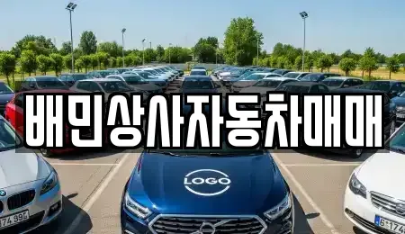 강원특별자치도 강릉시 월호평동 중고차매매 전문 배민상사자동차매매