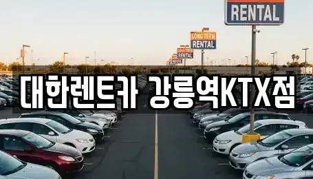 강원특별자치도 강릉시 임당동 렌트카 전문 대한렌트카 강릉역KTX점