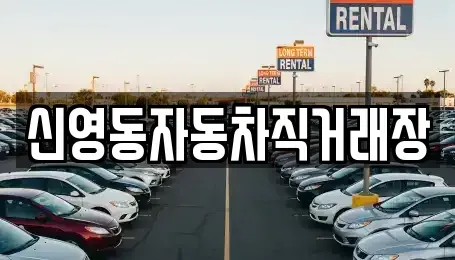 강원특별자치도 강릉시 임당동 중고차 전문 신영동자동차직거래장