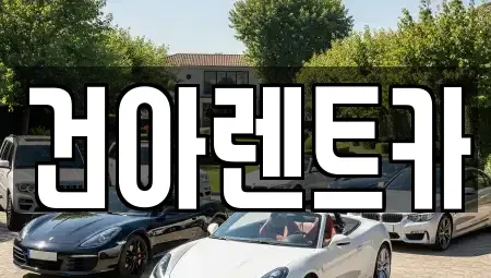 강원특별자치도 동해시 송정동 렌트카 전문 건아렌트카