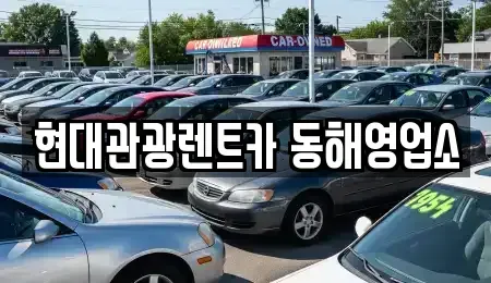 강원특별자치도 동해시 송정동 장기렌트카 전문 현대관광렌트카 동해영업소
