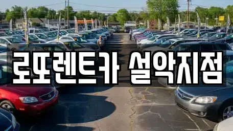 강원특별자치도 속초시 도문동 렌트카 전문 로또렌트카 설악지점