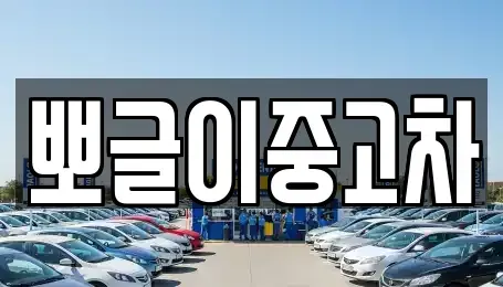 강원특별자치도 속초시 도문동 중고차 전문 뽀글이중고차