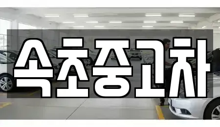 강원특별자치도 속초시 도문동 중고차,렌트카,중고차매입,중고차매매,장기렌트카,단기렌트카