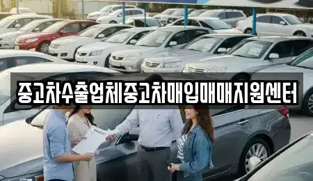 강원특별자치도 속초시 도문동 중고차 전문 중고차수출업체중고차매입매매지원센터