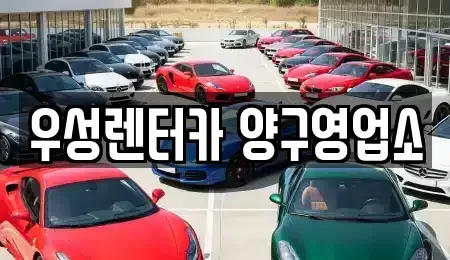 강원특별자치도 양구군 양구읍 렌트카 전문 우성렌터카 양구영업소