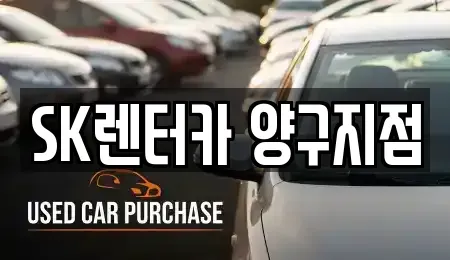 강원특별자치도 양구군 양구읍 장기렌트카 전문 SK렌터카 양구지점