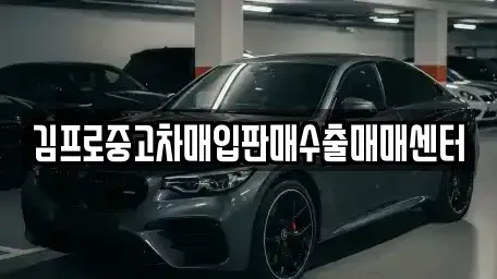 강원특별자치도 양구군 양구읍 중고차매매 전문 김프로중고차매입판매수출매매센터
