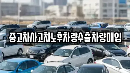 강원특별자치도 양구군 양구읍 중고차매매 전문 중고차사고차노후차량수출차량매입