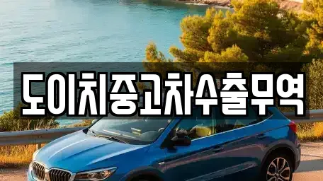 강원특별자치도 양구군 중고차 전문 도이치중고차수출무역