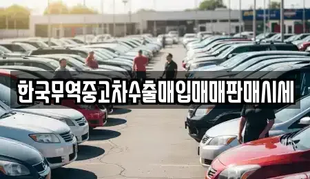강원특별자치도 양구군 중고차 전문 한국무역중고차수출매입매매판매시세