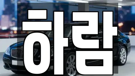 강원특별자치도 원주시 명륜동 장기렌트카 전문 하람