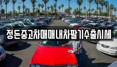강원특별자치도 원주시 명륜동 중고차 전문 정든중고차매매내차팔기수출시세